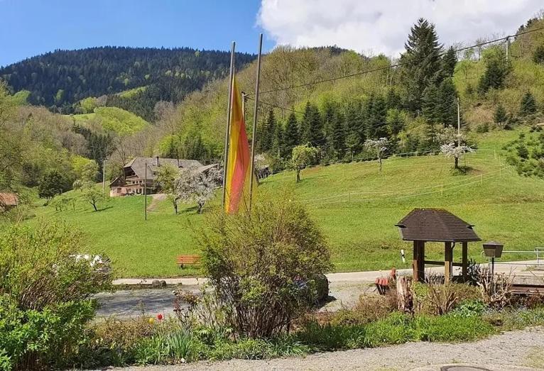 Schwarzwald Idyll Обергармерсбах Екстер'єр фото